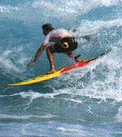 Wellen - Surfen